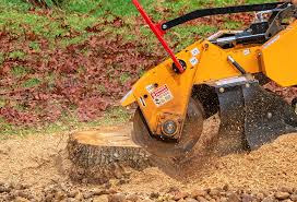 Best Firewood Processing and Delivery  in Canton, MO